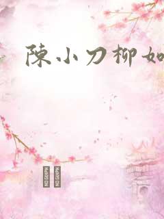 陈小刀柳如意