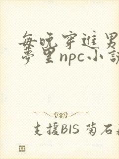 每晚穿进男神的梦里npc小说