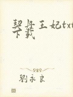 契丹王妃txt下载