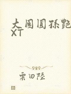 大团圆孙艳梅TXT