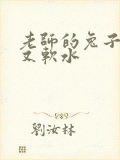 老师的兔子又大又软水