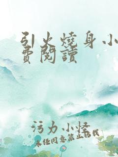 引火烧身小说免费阅读