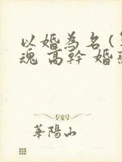 以婚为名 (军魂 高干 婚恋)