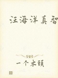 汪海洋真智师太