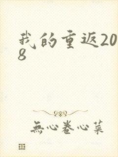 我的重返2008