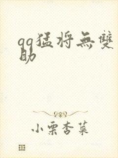 qq猛将无双辅助