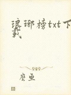 琅琊榜txt下载