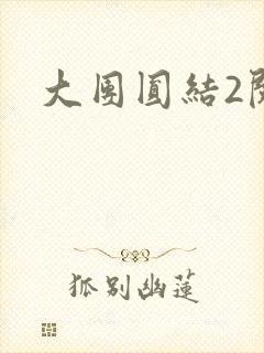 大团圆结2阅读