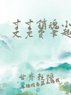 寸寸销魂小说全文免费笔趣阁