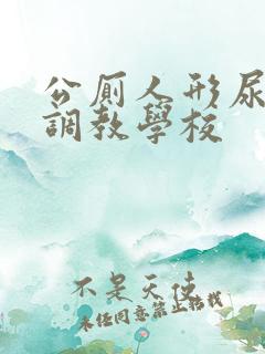 公厕人形尿便器调教学校