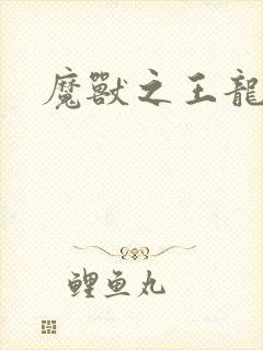 魔兽之王龙傲天