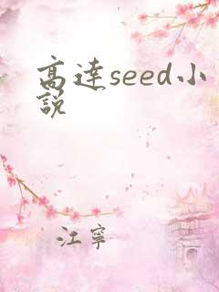 高达seed小说