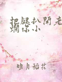 把腿扒开老子臊烂你小