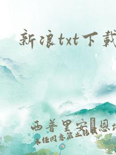 新浪txt下载