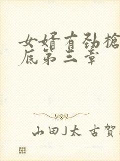 女婿有劲枪枪到底第三章