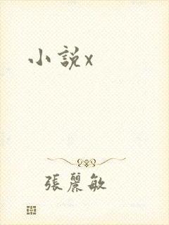 小说x