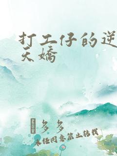 打工仔的逆袭楚天娇