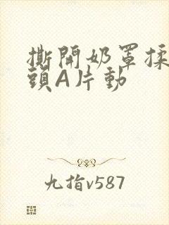 撕开奶罩揉吮奶头A片动