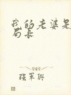 我的老婆是警察局长