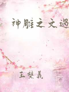 神雕之文过饰非