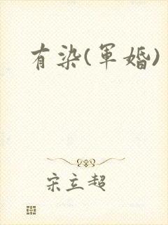 有染(军婚)