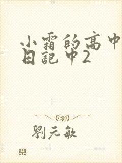 小霜的高中成长日记中2