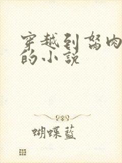 穿越到胬肉系统的小说