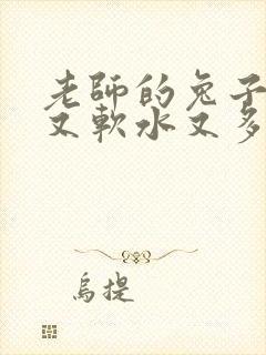 老师的兔子又大又软水又多