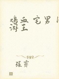 鸡血 宅男 网游王