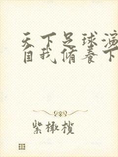 天下足球演员的自我修养下