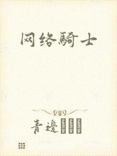 网络骑士