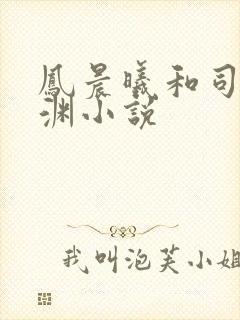 凤晨曦和司鸿颜渊小说
