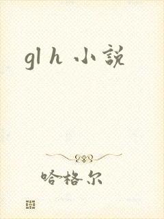 gl h 小说