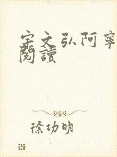 宇文弘阿宁全文阅读