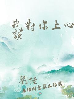 我对你上心了小说