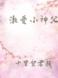激爱小神父