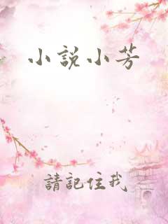 小说小芳