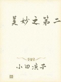 美妙之第二人生