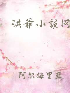 洪爷小说网