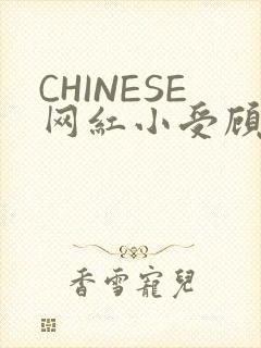 CHINESE网红小受顾泽宇