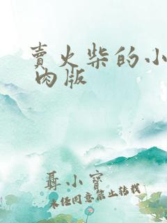 卖火柴的小男孩 肉版