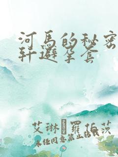 河马的秘密河文轩避孕套