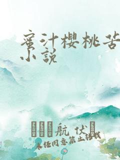 蜜汁樱桃苦咖啡小说