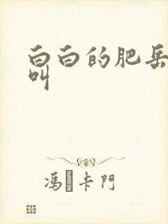 白白的肥岳嗷嗷叫