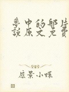 梦中的那片海小说原文免费阅读