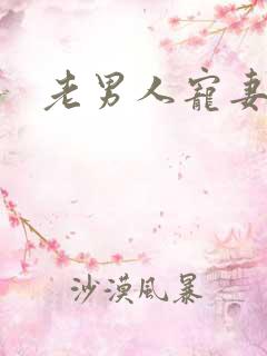 老男人宠妻日常