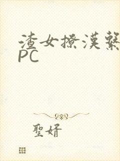 渣女撩汉系统NPC