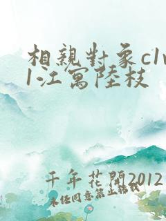 相亲对象c1v1江寓陆枝