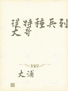 从特种兵到黑道大哥