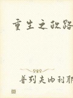 重生之政路风流